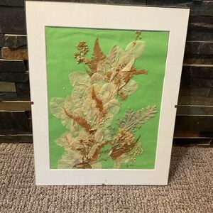 Vintage Botanical Art Print 2006 14” x 11”